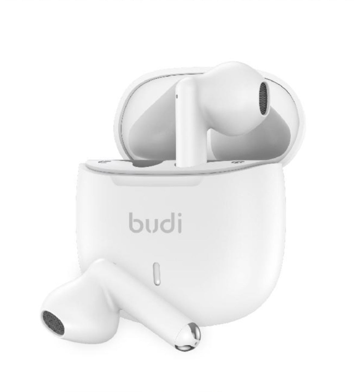 budi - Buds